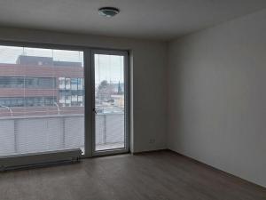 Pronájem bytu 1+kk, Brno - Horní Heršpice, Jižní, 42 m2