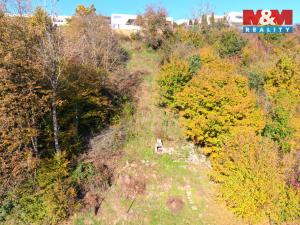 Prodej zahrady, Zlín - Příluky, 601 m2