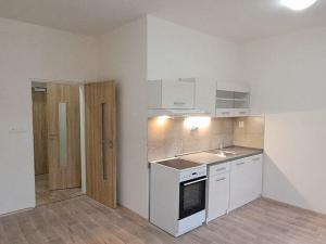 Pronájem bytu 2+kk, Peruc, U Koupaliště, 59 m2