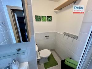 Pronájem bytu 2+kk, Liberec, Mlýnská, 34 m2