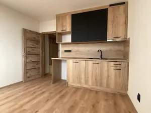 Pronájem bytu 1+kk, Most, U Věžových domů, 22 m2