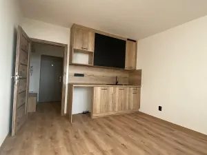 Pronájem bytu 1+kk, Most, U Věžových domů, 22 m2