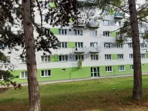 Prodej bytu 2+1, Brno, Renneská třída, 53 m2