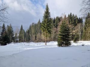 Prodej pozemku pro bydlení, Železná Ruda, 600 m2