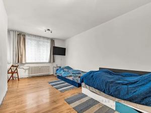 Prodej bytu 1+kk, Praha - Záběhlice, Svojšovická, 28 m2