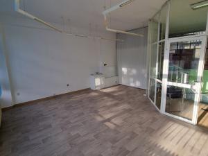 Pronájem obchodního prostoru, Břeclav, J. Palacha, 30 m2