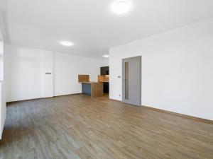 Pronájem bytu 1+kk, Bolevecká, Plzeň, 40 m2