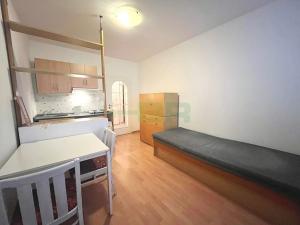 Pronájem bytu 1+kk, Praha - Strašnice, Srbínská, 25 m2