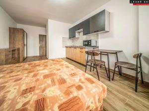 Pronájem bytu 1+kk, Ústí nad Labem, Čajkovského, 30 m2