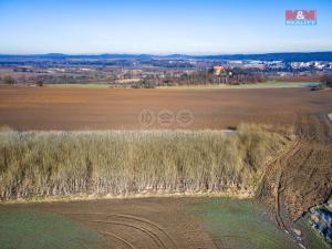 Prodej pole, Horšovský Týn - Podhájí, 24512 m2