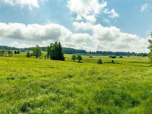 Prodej pozemku pro bydlení, Horní Blatná, Perninská, 1015 m2