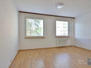 Pronájem bytu 1+kk, Ústí nad Labem, Vinařská, 32 m2