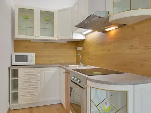 Pronájem bytu 1+kk, Ústí nad Labem, Vinařská, 32 m2