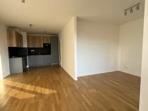 Pronájem bytu 2+kk, Praha - Žižkov, U Viktorie, 46 m2