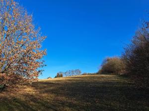 Prodej pozemku, Vizovice, 11164 m2