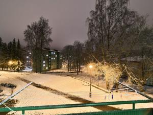 Pronájem bytu 2+1, Aš, Kamenná, 55 m2