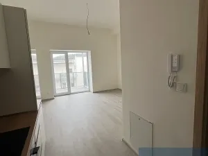 Pronájem bytu 1+kk, Lomnice, Dlouhá, 30 m2