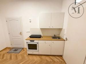 Pronájem bytu 1+1, České Budějovice, U Malše, 45 m2