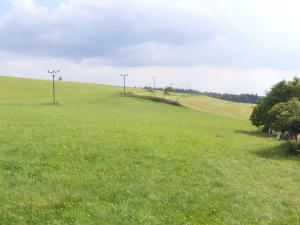 Dražba louky, Rokytnice v Orlických horách, 8965 m2