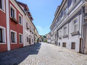 Prodej obchodního prostoru, Český Krumlov, Rooseveltova, 270 m2