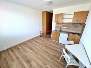 Pronájem bytu 1+kk, Planá nad Lužnicí, Průmyslová, 21 m2