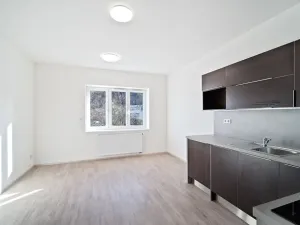 Pronájem bytu 1+kk, Praha - Košíře, Starokošířská, 25 m2