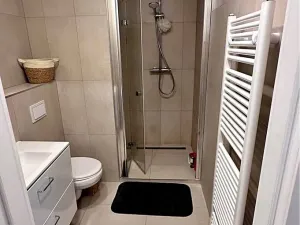 Pronájem bytu 1+kk, Praha - Vinohrady, Perucká, 25 m2