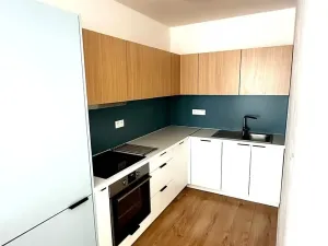 Pronájem bytu 2+kk, Praha - Nové Město, Frýdlantská, 45 m2