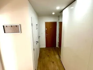 Pronájem bytu 2+kk, Praha - Nové Město, Frýdlantská, 45 m2