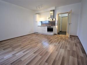 Pronájem bytu 1+kk, Praha - Háje, Loosova, 44 m2