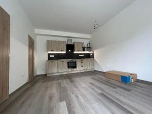 Pronájem bytu 1+kk, Hradec Králové, Bidlova, 30 m2