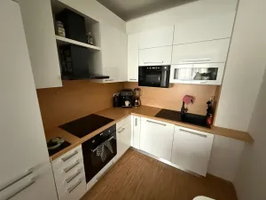 Pronájem bytu 2+kk, Brno, Křehlíkova, 49 m2