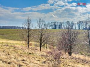 Prodej pozemku pro bydlení, Bílovec, 1. máje, 1002 m2