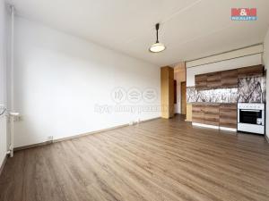 Pronájem bytu 1+kk, Karlovy Vary - Rybáře, U Koupaliště, 25 m2