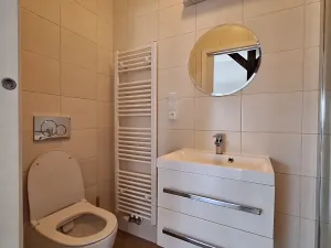 Pronájem bytu 1+kk, Praha - Bubeneč, U zeměpisného ústavu, 34 m2