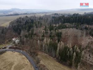 Prodej lesa, Ústí nad Orlicí - Oldřichovice, 2745 m2