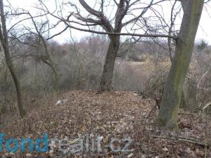 Prodej pozemku, Brandýs nad Labem-Stará Boleslav, 1926 m2