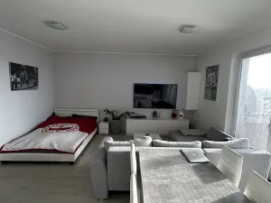 Pronájem bytu 1+kk, Praha - Letňany, Hlučkova, 42 m2