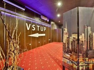 Pronájem obchodního prostoru, Mladá Boleslav, Jana Palacha, 440 m2