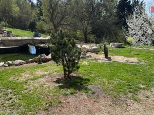 Prodej chalupy, Nová Ves nad Nisou - Horní Černá Studnice, 120 m2