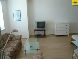 Pronájem bytu 1+kk, Olomouc, Novosadský dvůr, 47 m2