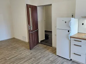 Pronájem bytu 1+kk, Dolní Břežany, Na Panský, 39 m2