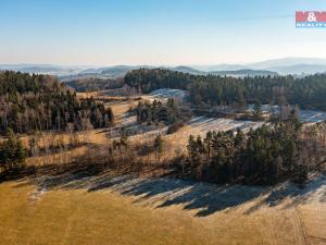 Prodej lesa, Čkyně - Onšovice, 7489 m2