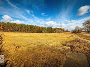 Prodej pozemku pro bydlení, Vrábče, 1681 m2