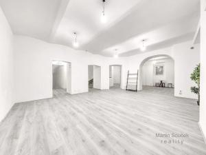 Prodej obchodního prostoru, Praha - Nové Město, Ječná, 303 m2