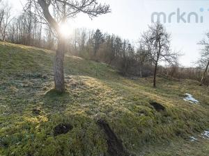 Prodej pozemku pro bydlení, Bušín, 3553 m2