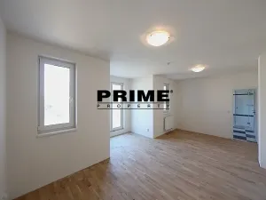 Pronájem rodinného domu, Průhonice, Pod Valem II., 400 m2