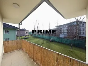 Pronájem rodinného domu, Průhonice, Pod Valem II., 400 m2