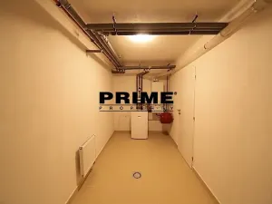 Pronájem rodinného domu, Průhonice, Pod Valem II., 400 m2