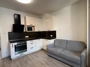 Pronájem bytu 1+kk, Praha - Košíře, Vrchlického, 35 m2